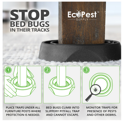 Bedbug-Free Interceptors