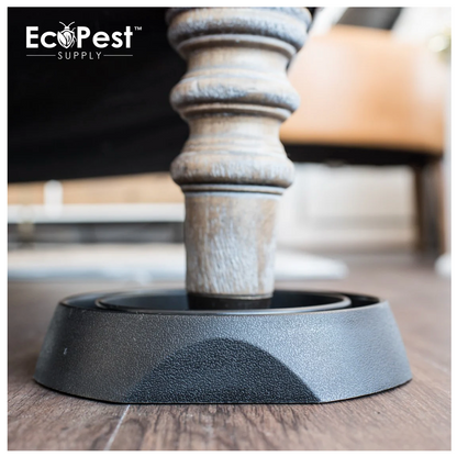 Bedbug-Free Interceptors