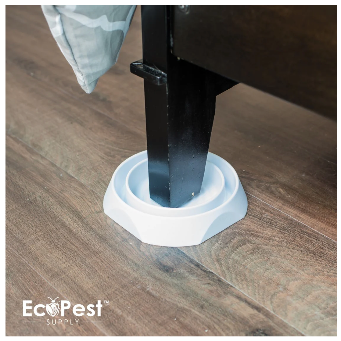 Bedbug-Free Interceptors